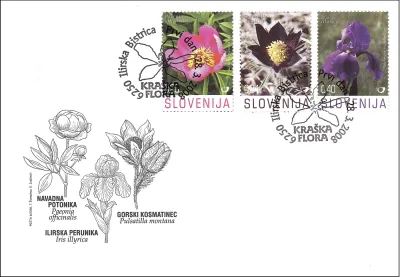RASTLINSTVO - KRAŠKA FLORA